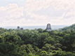 Temples mayas à Tikal